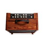 Taylor Circa 74 Acoustic Guitar Amp With Stand