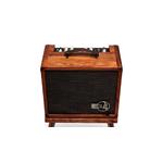 Taylor Circa 74 Acoustic Guitar Amp With Stand