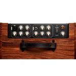 Taylor Circa 74 Acoustic Guitar Amp With Stand