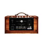 Taylor Circa 74 Acoustic Guitar Amp With Stand