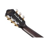 Ibanez FRH20FMN-DGL Nylon Electro Deep Emerald Green