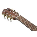 Ibanez FRH10N-BSF Nylon Electro Brown Stained Flat