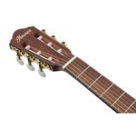 Ibanez FRH10N-RGF Nylon Electro Rose Gold Metallic Flat
