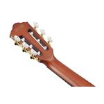 Ibanez FRH10N-NTF Nylon Electro Natural Flat