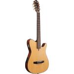 Ibanez FRH10N-NTF Nylon Electro Natural Flat