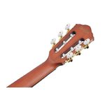 Ibanez FRH10NL-BSF Nylon Electro Brown Stained Flat Left Handed