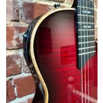 Pre Loved Taylor T5Z Pro Cayenne Red Inc Hard Case