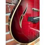 Pre Loved Taylor T5Z Pro Cayenne Red Inc Hard Case