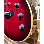 Pre Loved Taylor T5Z Pro Cayenne Red Inc Hard Case