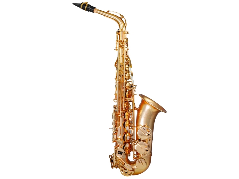 Trevor James EVO Alto Saxophone - Gold Frost