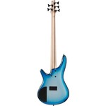 SR305E-DOT