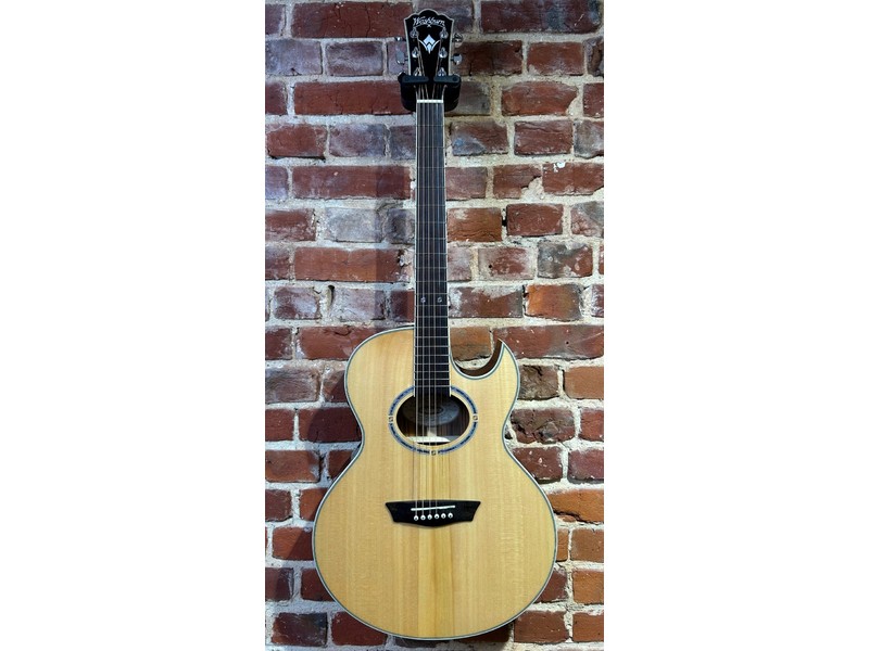 Pre Loved Washburn EA20S Nuno Bettencourt Festival Inc Bag