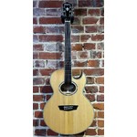 Pre Loved Washburn EA20S Nuno Bettencourt Festival Inc Bag