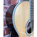 Pre Loved Washburn EA20S Nuno Bettencourt Festival Inc Bag