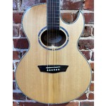 Pre Loved Washburn EA20S Nuno Bettencourt Festival Inc Bag