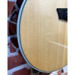 Pre Loved Washburn EA20S Nuno Bettencourt Festival Inc Bag