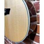 Pre Loved Washburn EA20S Nuno Bettencourt Festival Inc Bag