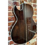 Pre Loved Washburn EA20S Nuno Bettencourt Festival Inc Bag
