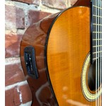 Pre Loved Suzuki SCG 5CE NL Electro Classical	