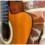 Pre Loved Suzuki SCG 5CE NL Electro Classical	