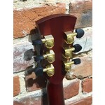 Pre Loved Faith Blood Moon Neptune Cutaway Electro Acoustic Guitar
