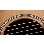 Taylor Gold Label 717e Grand Pacific Sunburst Firestripe Pickguard
