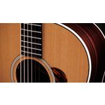 Taylor Gold Label 717e Grand Pacific Sunburst Firestripe Pickguard