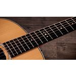 Taylor Gold Label 717e Grand Pacific Sunburst Firestripe Pickguard