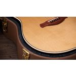 Taylor Gold Label 717e Grand Pacific Sunburst Firestripe Pickguard