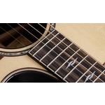 Taylor Builders Edition 814ce Honduran Rosewood / Adirondack Spruce