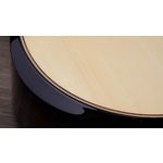 Taylor Builders Edition 814ce Honduran Rosewood / Adirondack Spruce