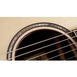 Taylor Builders Edition 814ce Honduran Rosewood / Adirondack Spruce