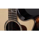 Taylor Builders Edition 814ce Honduran Rosewood / Adirondack Spruce