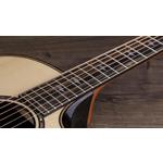 Taylor Builders Edition 814ce Honduran Rosewood / Adirondack Spruce