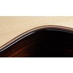 Taylor Builders Edition 814ce Honduran Rosewood / Adirondack Spruce