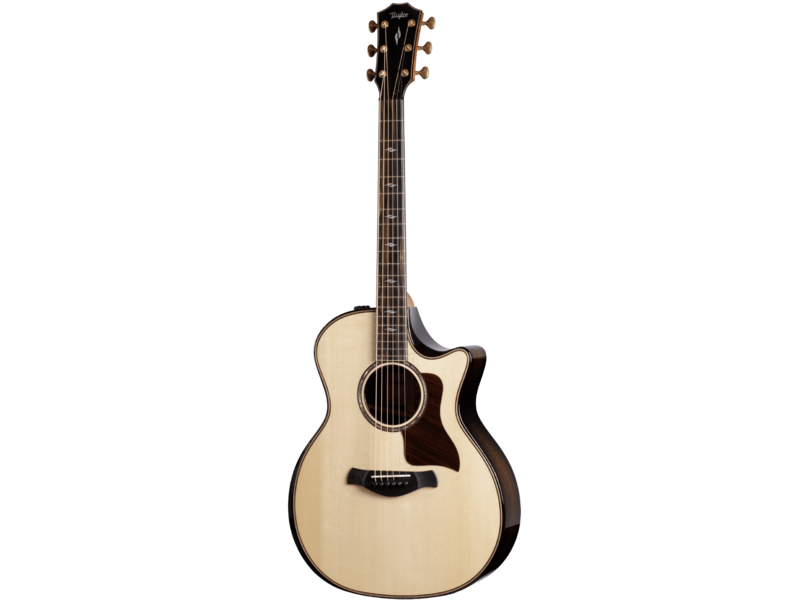 Taylor Builders Edition 814ce Honduran Rosewood / Adirondack Spruce