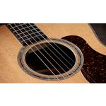 Taylor Gold Label 814e Koa Super Auditorium