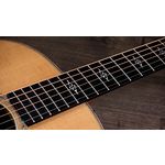 Taylor Gold Label 814e Koa Super Auditorium