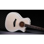 Taylor 614ce 50th Anniversary Collection LTD Trans Edge Burst