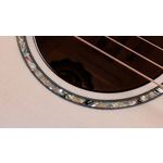Taylor 614ce 50th Anniversary Collection LTD Trans Edge Burst