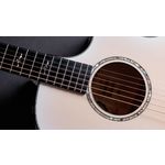 Taylor 614ce 50th Anniversary Collection LTD Trans Edge Burst