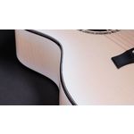 Taylor 614ce 50th Anniversary Collection LTD Trans Edge Burst