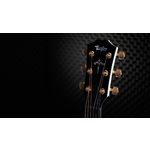 Taylor 614ce 50th Anniversary Collection LTD Trans Edge Burst