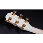 Taylor 614ce 50th Anniversary Collection LTD Trans Edge Burst
