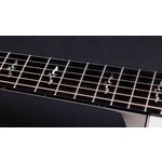 Taylor 614ce 50th Anniversary Collection LTD Trans Edge Burst