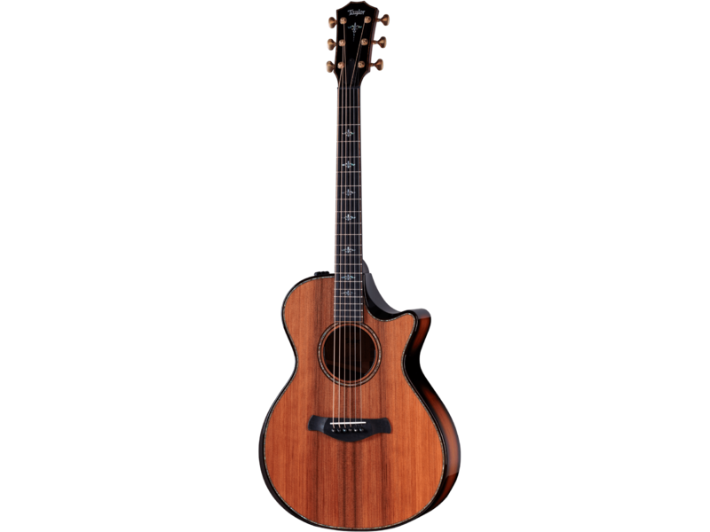 Taylor Builders Edition 912ce Honduran Rosewood / Sinker Redwood