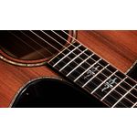 Taylor Builders Edition 912ce Honduran Rosewood / Sinker Redwood