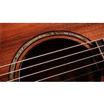 Taylor Builders Edition 912ce Honduran Rosewood / Sinker Redwood