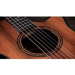 Taylor Builders Edition 912ce Honduran Rosewood / Sinker Redwood