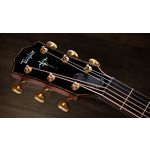 Taylor Builders Edition 912ce Honduran Rosewood / Sinker Redwood